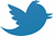 Twitter-bird-logo-PNG