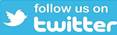Image result for follow twitter logo